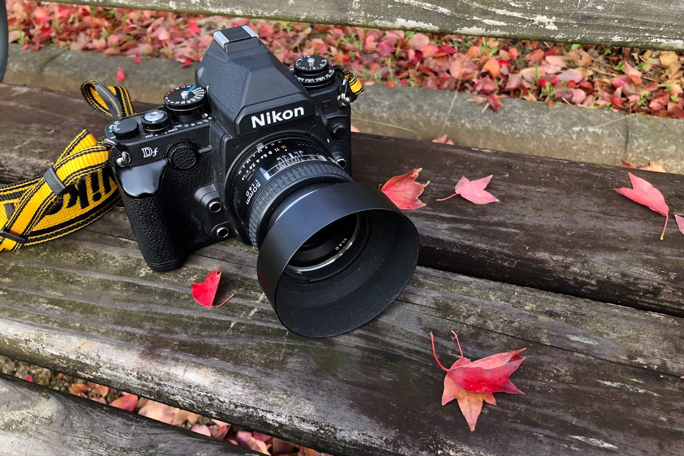 秋の終わりの散歩カメラ。Nikon Df × 50/1.4D〈20枚〉｜記憶カメラ