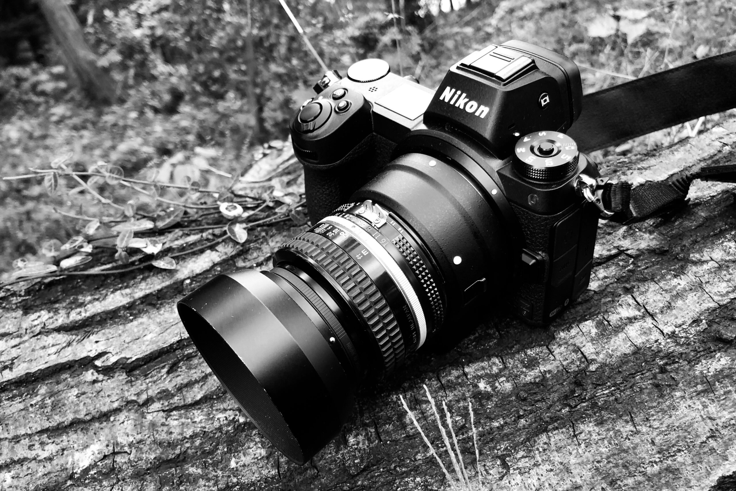 カメラ レンズ(単焦点) 50mm f1.4が好きすぎて。Ai-SじゃなくてAiが欲しくて。｜記憶カメラ