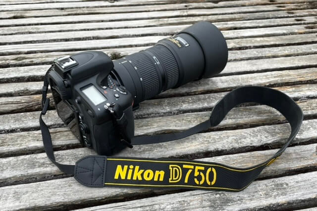 Nikon D750とAi AF 80-200/2.8D Newの散歩は幸福だった。｜記憶カメラ