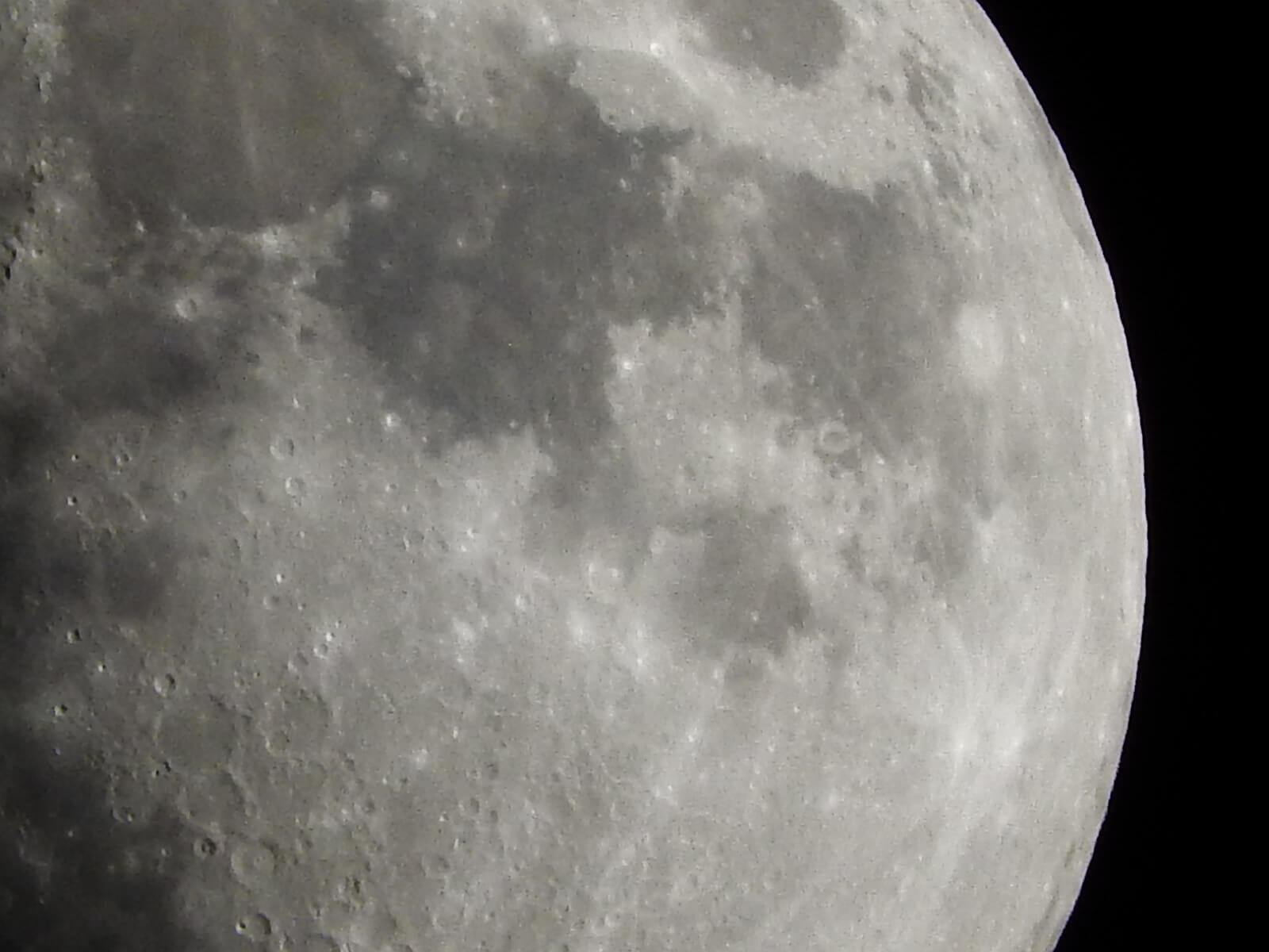 また月と鳥が撮りたくて、超望遠1440mmのNikon Coolpix P610を手に入れ 