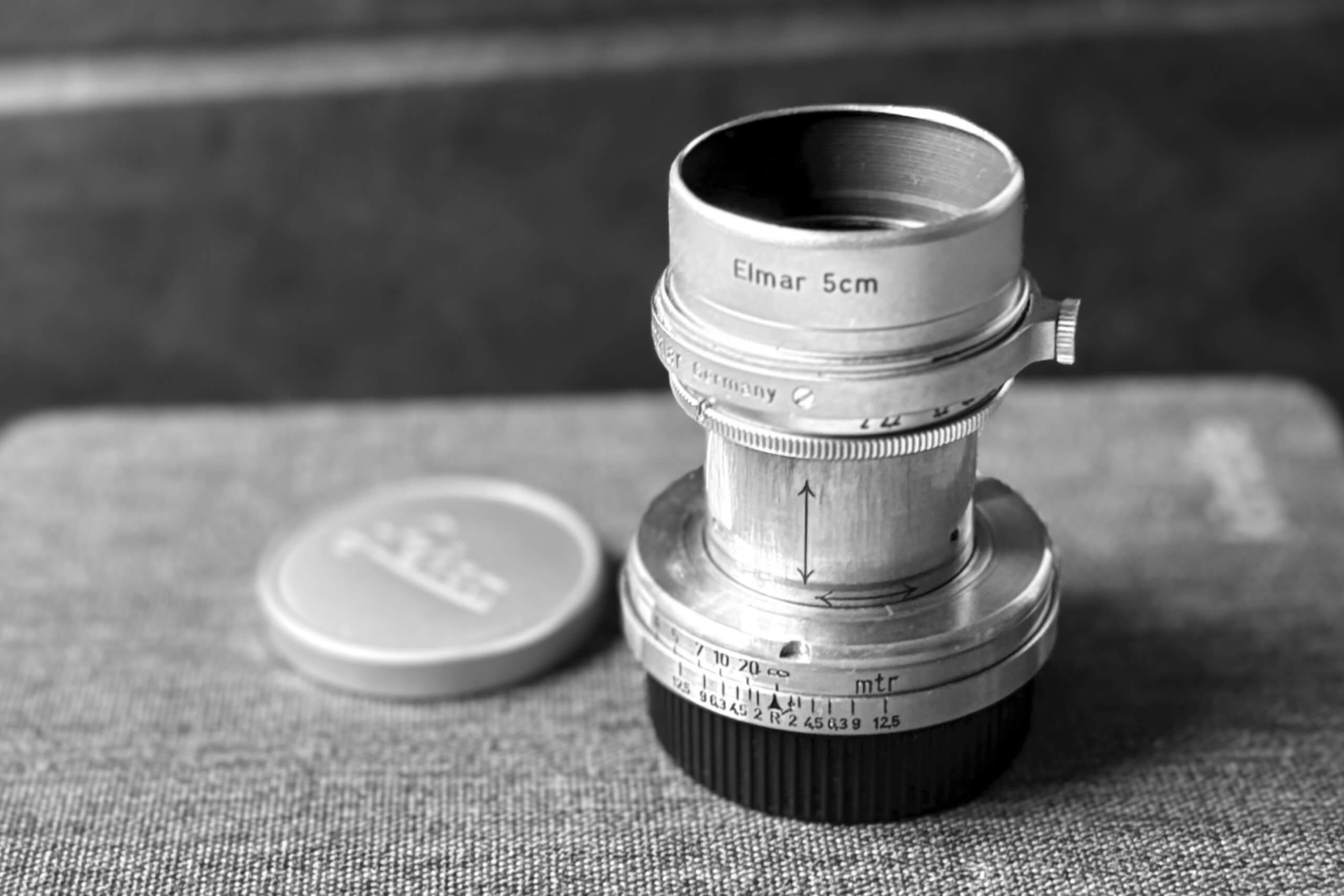 僕のもとへ、何年かぶりにズマールが帰ってきた。｜記憶カメラ