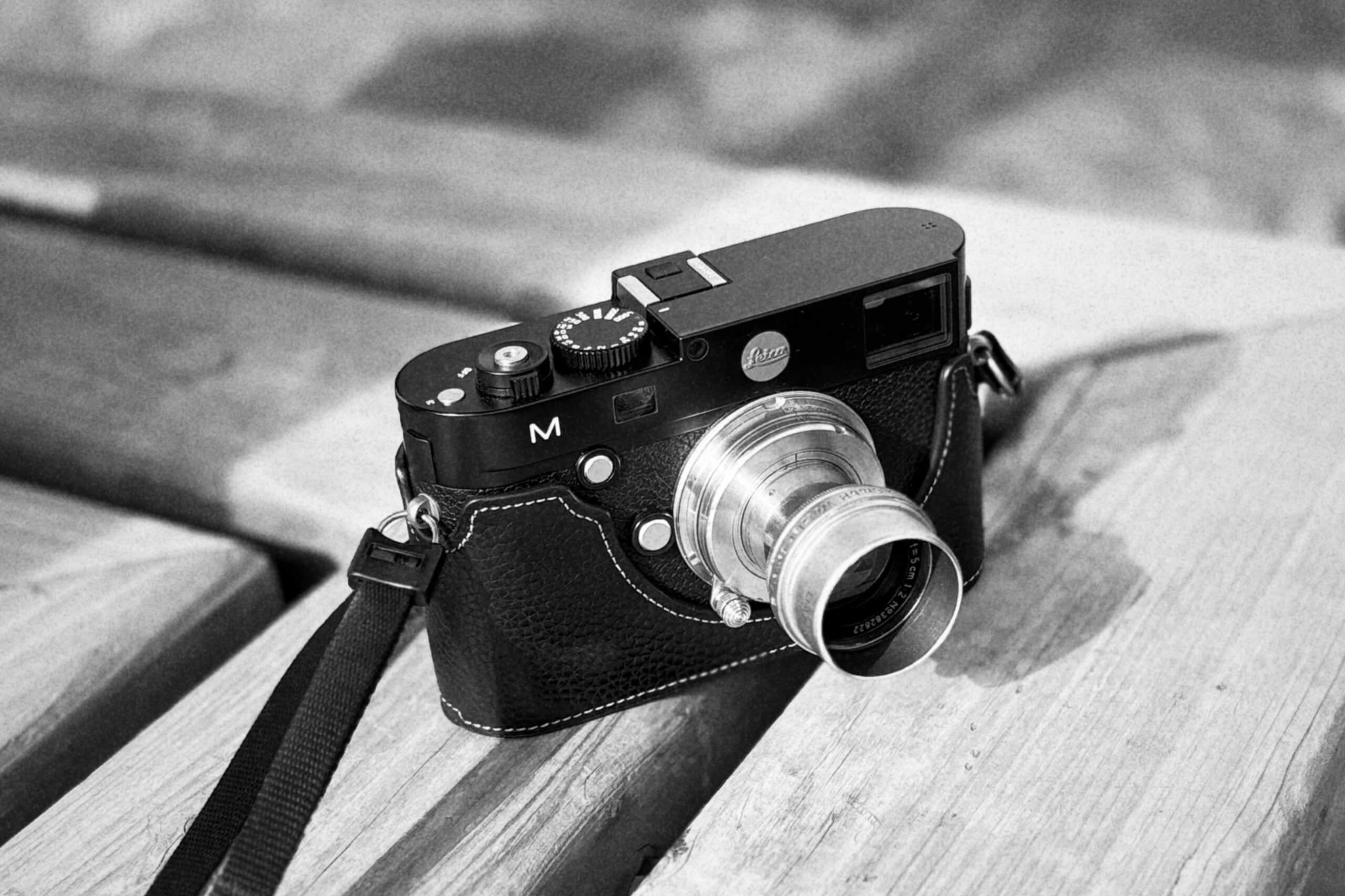 僕のもとへ、何年かぶりにズマールが帰ってきた。｜記憶カメラ